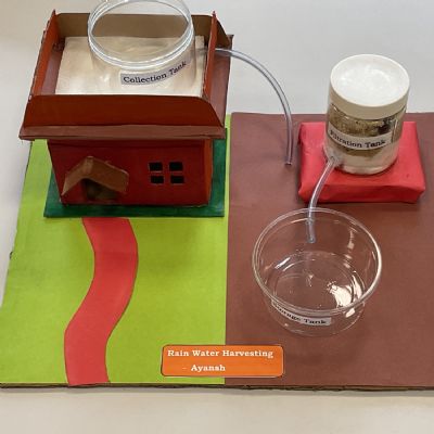 Sustainability Project